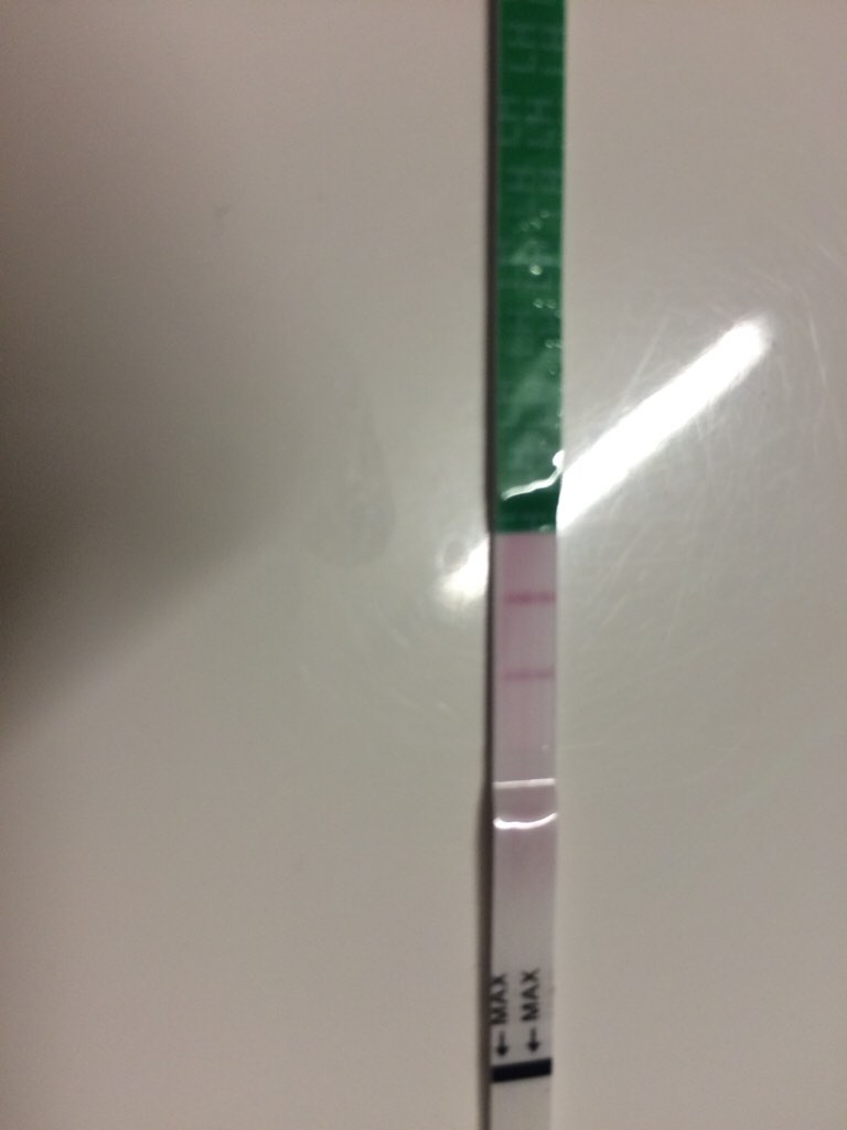 ImageUploadedByBV Forum1450528702.440582.jpg