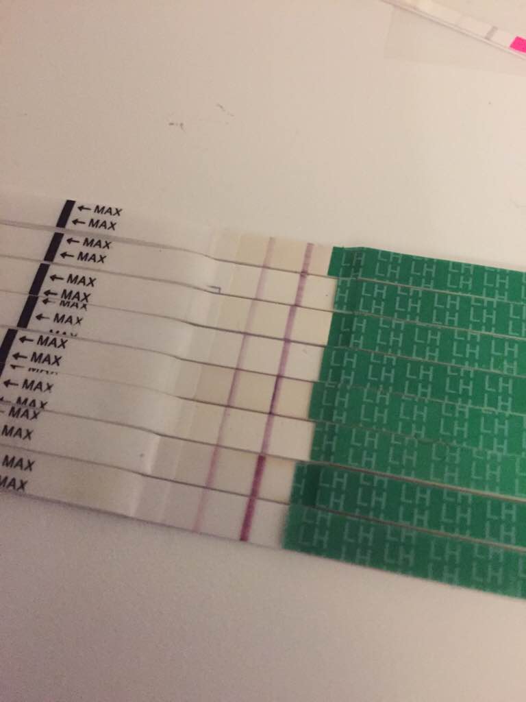 ImageUploadedByBV Forum1450638566.558327.jpg