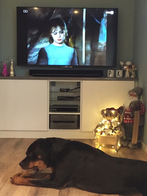 ImageUploadedByBV Forum1450954274.644954.jpg