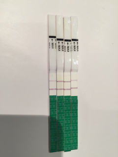 ImageUploadedByBV Forum1450965044.426774.jpg