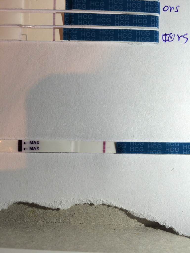 ImageUploadedByBV Forum1452183734.569116.jpg