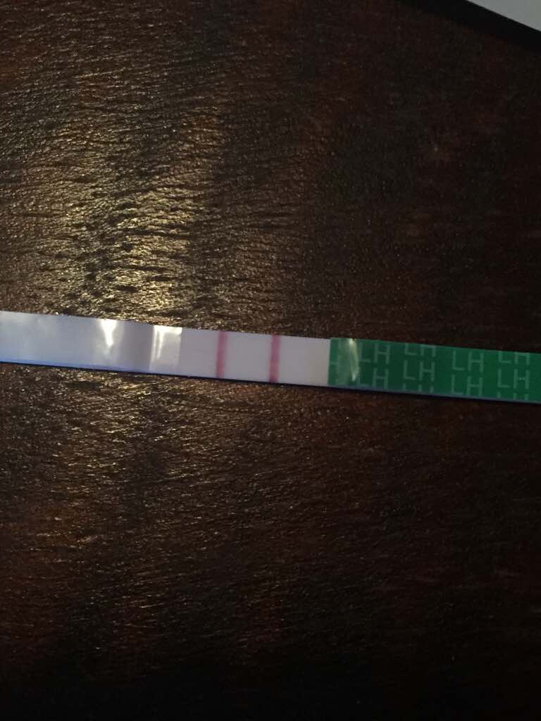 ImageUploadedByBV Forum1456071144.716143.jpg