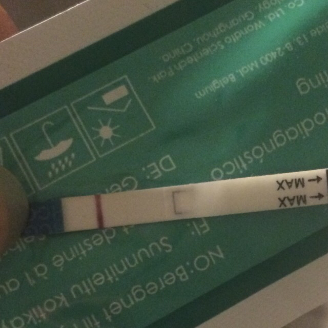 ImageUploadedByBV Forum1456815013.216233.jpg