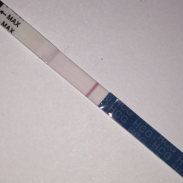 ImageUploadedByBV Forum1456827794.689482.jpg