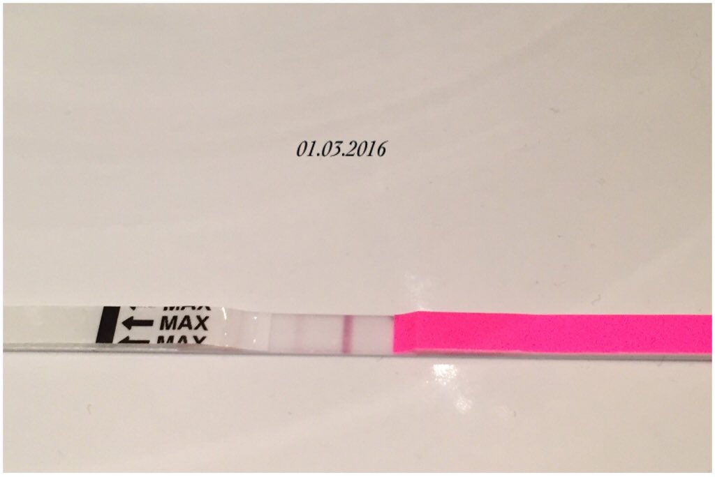 ImageUploadedByBV Forum1456909849.662113.jpg