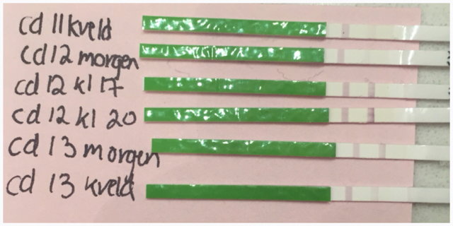 ImageUploadedByBV Forum1457035854.303521.jpg