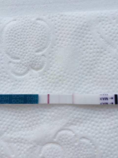 ImageUploadedByBV Forum1457685544.098287.jpg