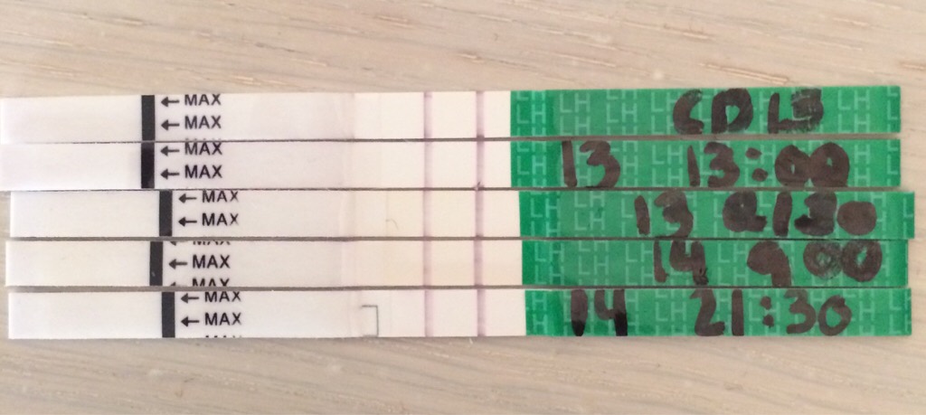 ImageUploadedByBV Forum1458164240.337935.jpg