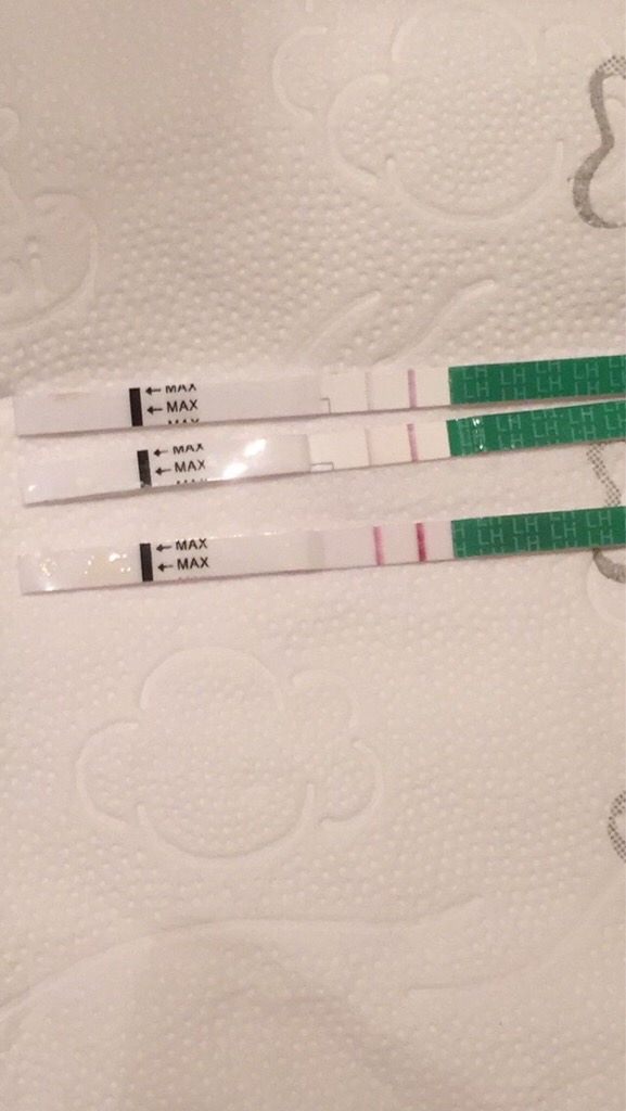 ImageUploadedByBV Forum1458165749.547684.jpg