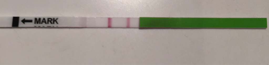 ImageUploadedByBV Forum1458206196.516201.jpg