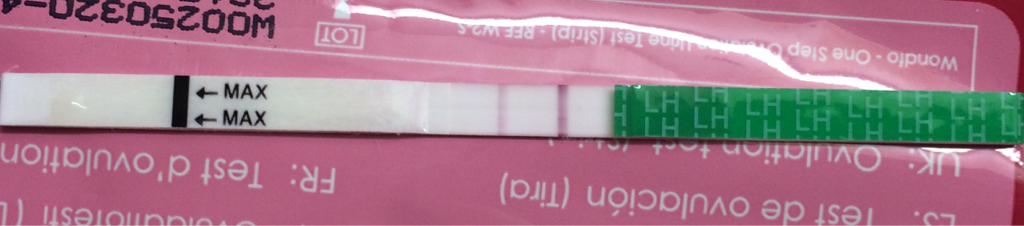 ImageUploadedByBV Forum1458238540.184412.jpg