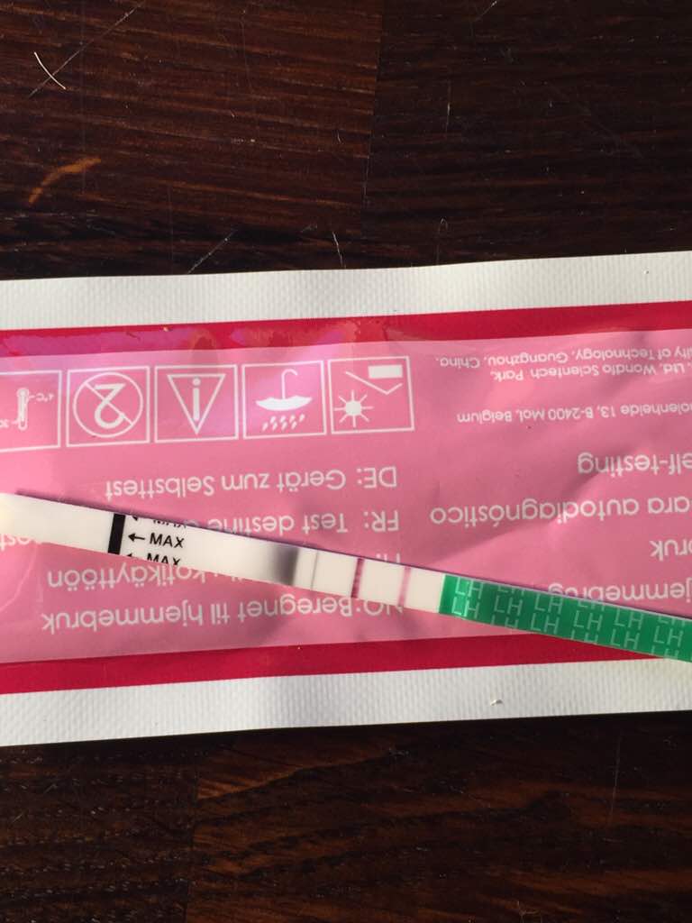 ImageUploadedByBV Forum1458412738.597438.jpg