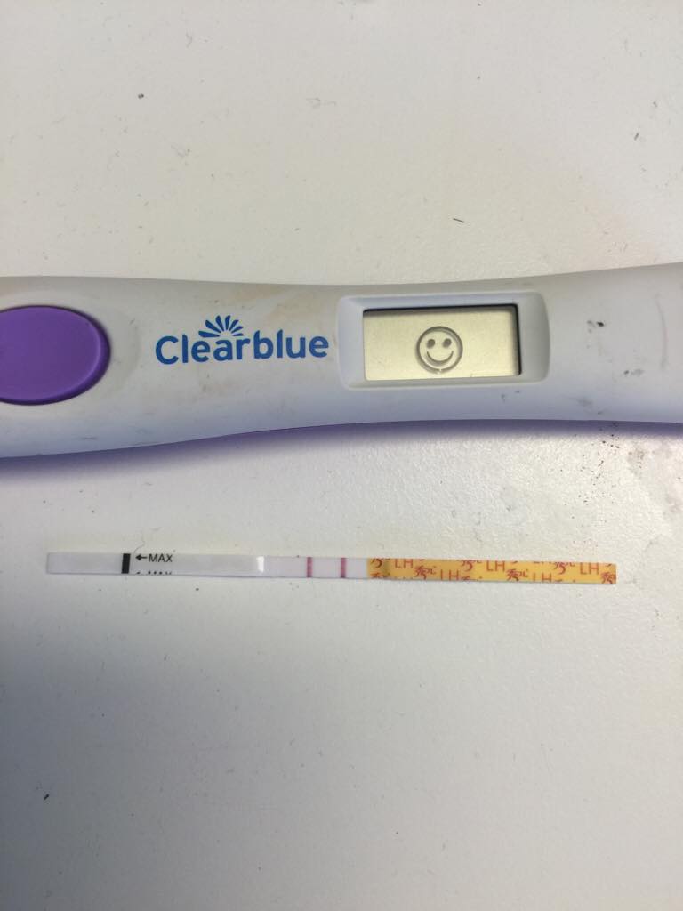 ImageUploadedByBV Forum1458474732.286496.jpg