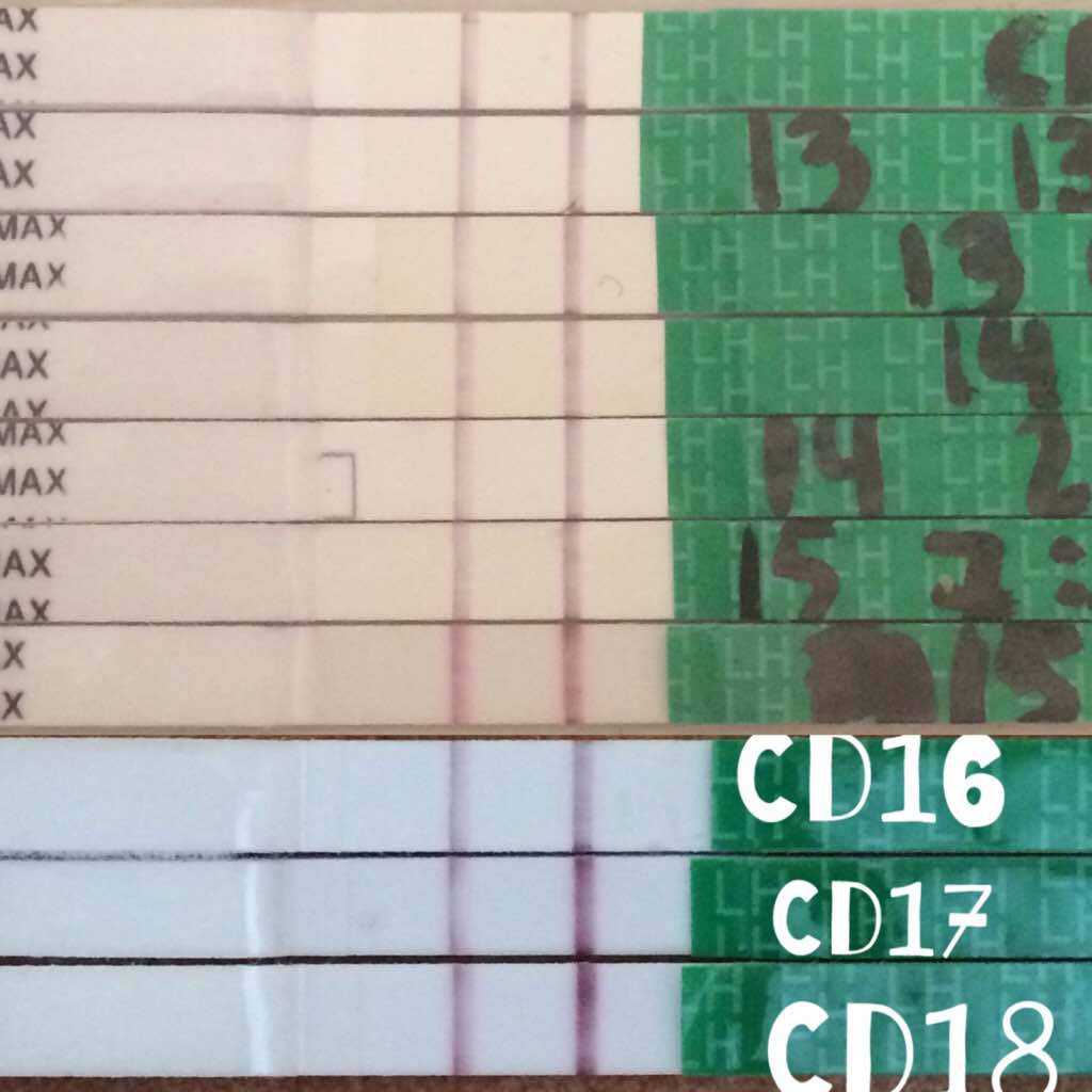 ImageUploadedByBV Forum1458475297.437914.jpg