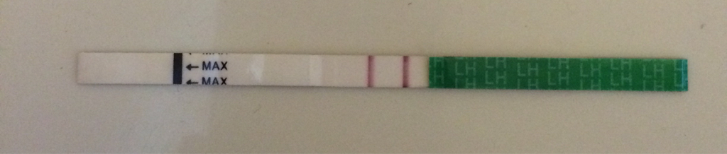 ImageUploadedByBV Forum1458485980.070996.jpg