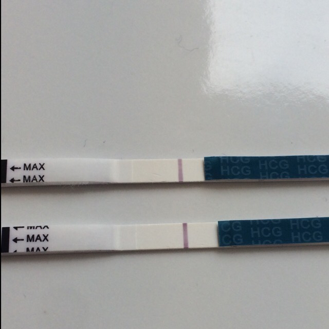 ImageUploadedByBV Forum1458759706.349564.jpg