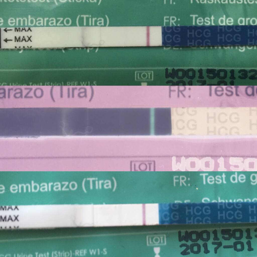 ImageUploadedByBV Forum1459405002.688779.jpg