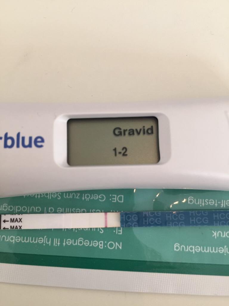 ImageUploadedByBV Forum1459438182.725977.jpg