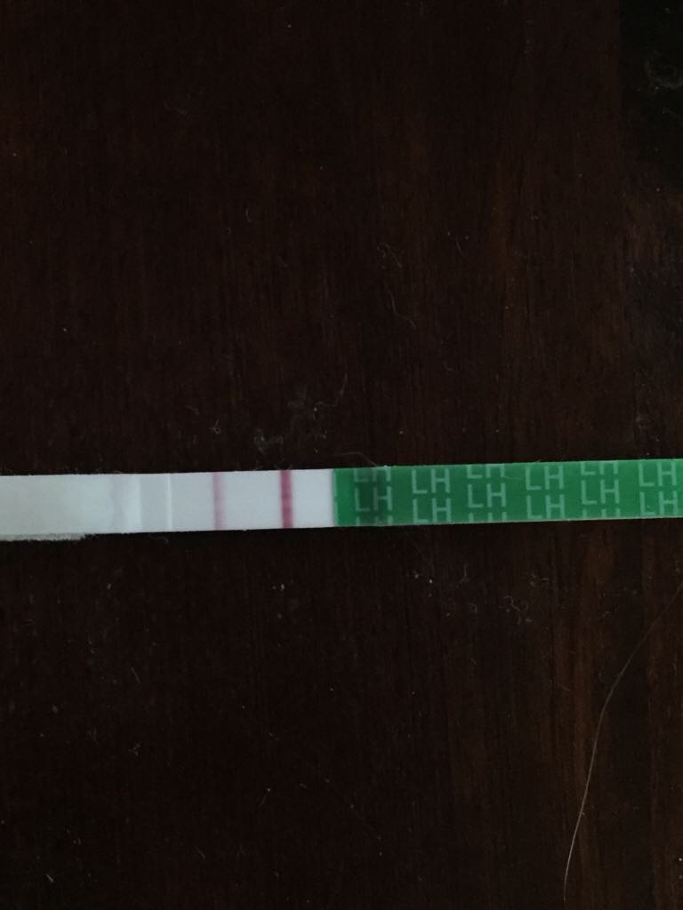 ImageUploadedByBV Forum1459934788.689485.jpg