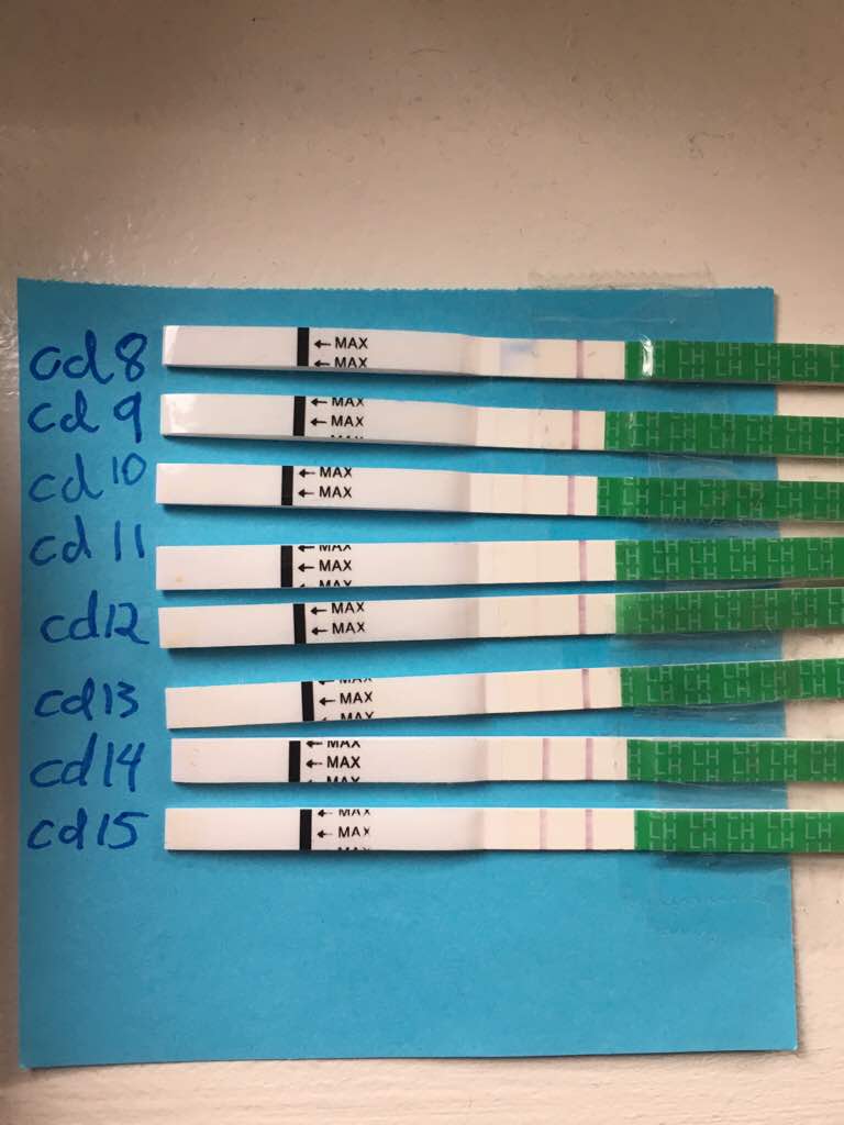 ImageUploadedByBV Forum1460479563.737326.jpg