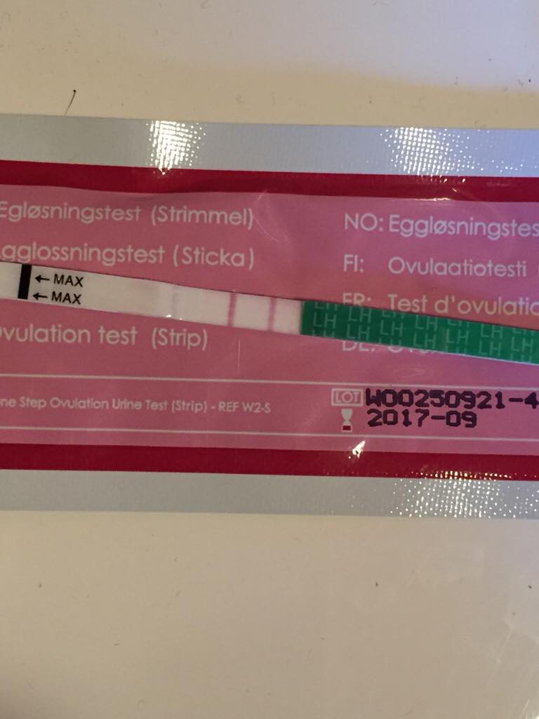 ImageUploadedByBV Forum1461146026.227095.jpg