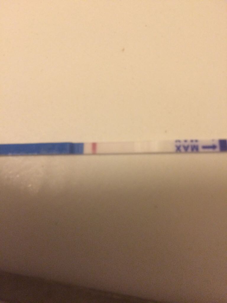 ImageUploadedByBV Forum1461957881.681355.jpg