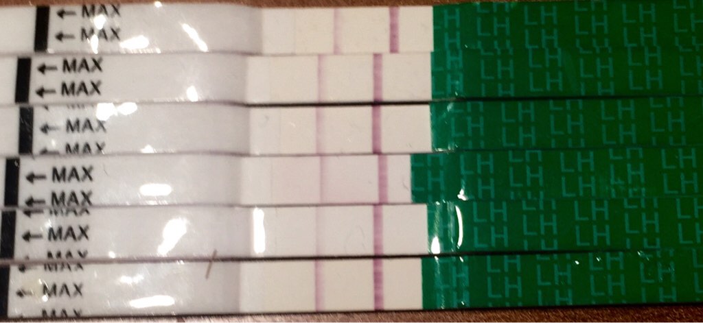 ImageUploadedByBV Forum1467119316.111054.jpg