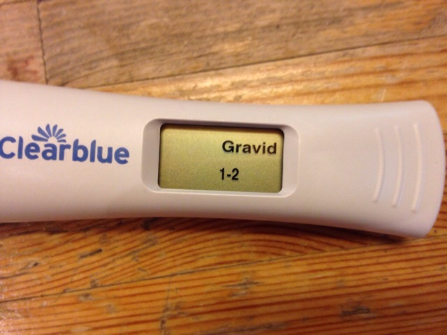 ImageUploadedByBV Forum1470720678.159136.jpg