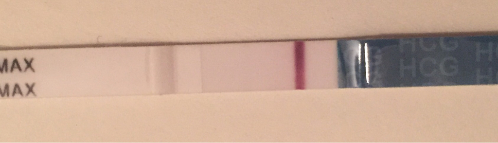 ImageUploadedByBV Forum1472582266.624579.jpg