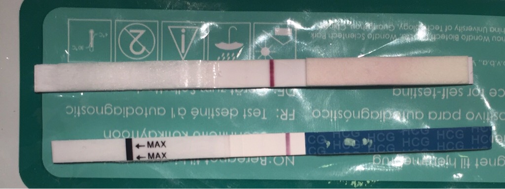 ImageUploadedByBV Forum1472724848.483673.jpg