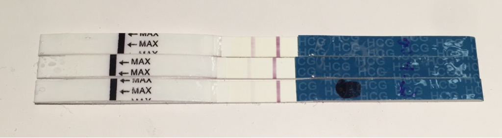 ImageUploadedByBV Forum1472992671.407775.jpg