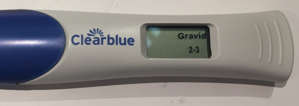 ImageUploadedByBV Forum1473407119.339371.jpg