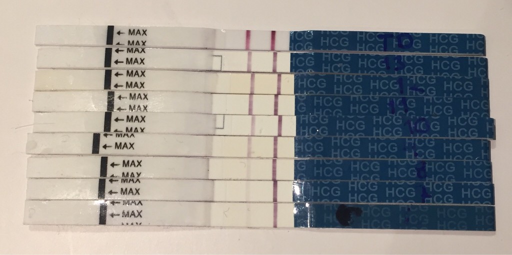 ImageUploadedByBV Forum1473407135.579192.jpg