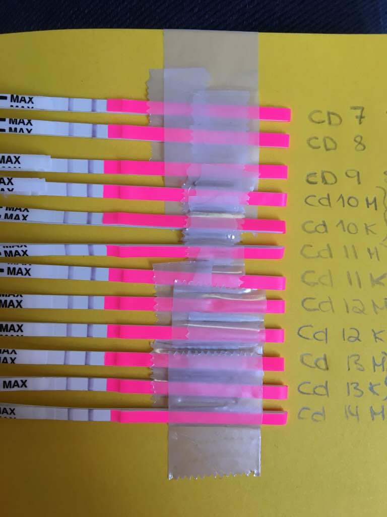 ImageUploadedByBV Forum1474027081.364161.jpg