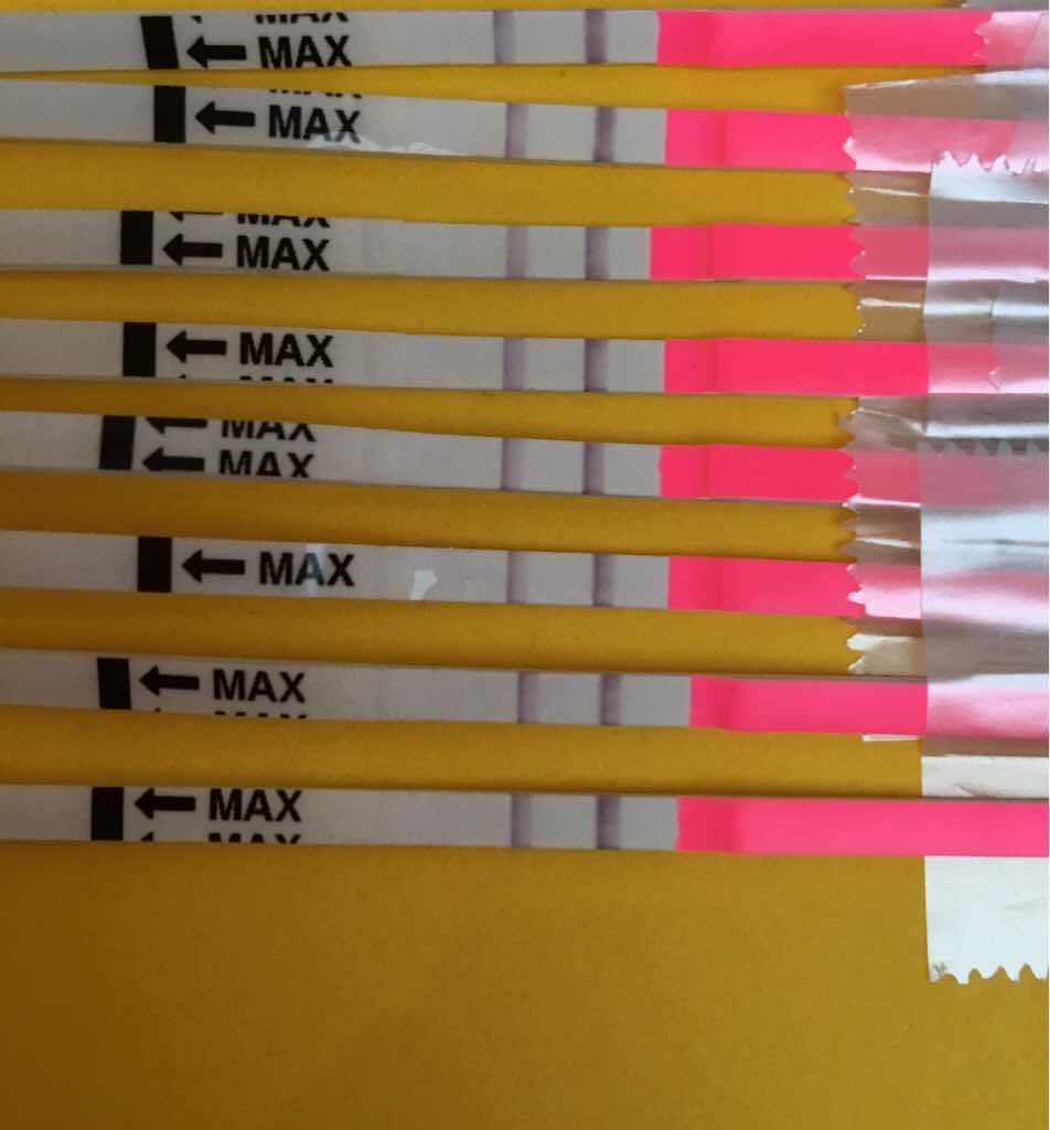 ImageUploadedByBV Forum1474045908.319030.jpg