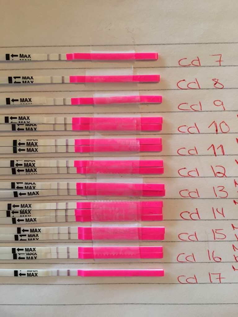 ImageUploadedByBV Forum1474273487.225974.jpg