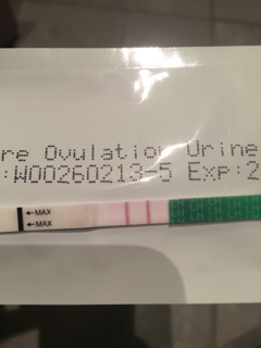 ImageUploadedByBV Forum1474392299.329050.jpg