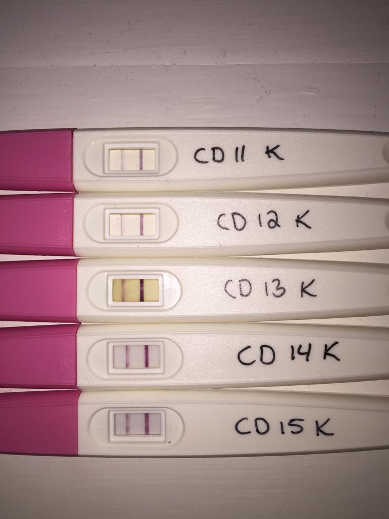 ImageUploadedByBV Forum1474578217.109650.jpg