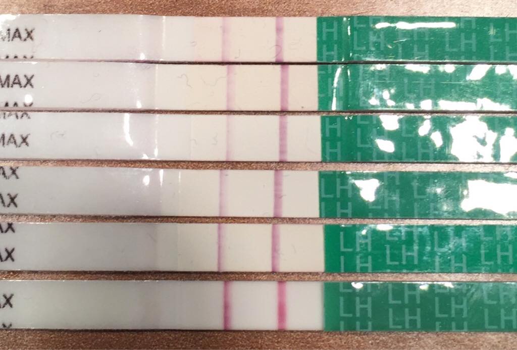 ImageUploadedByBV Forum1474578676.620108.jpg