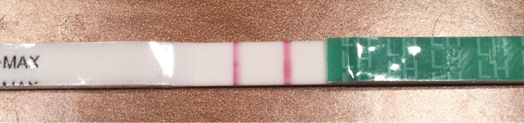 ImageUploadedByBV Forum1474578684.584937.jpg