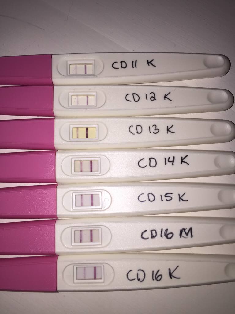 ImageUploadedByBV Forum1474649268.061552.jpg