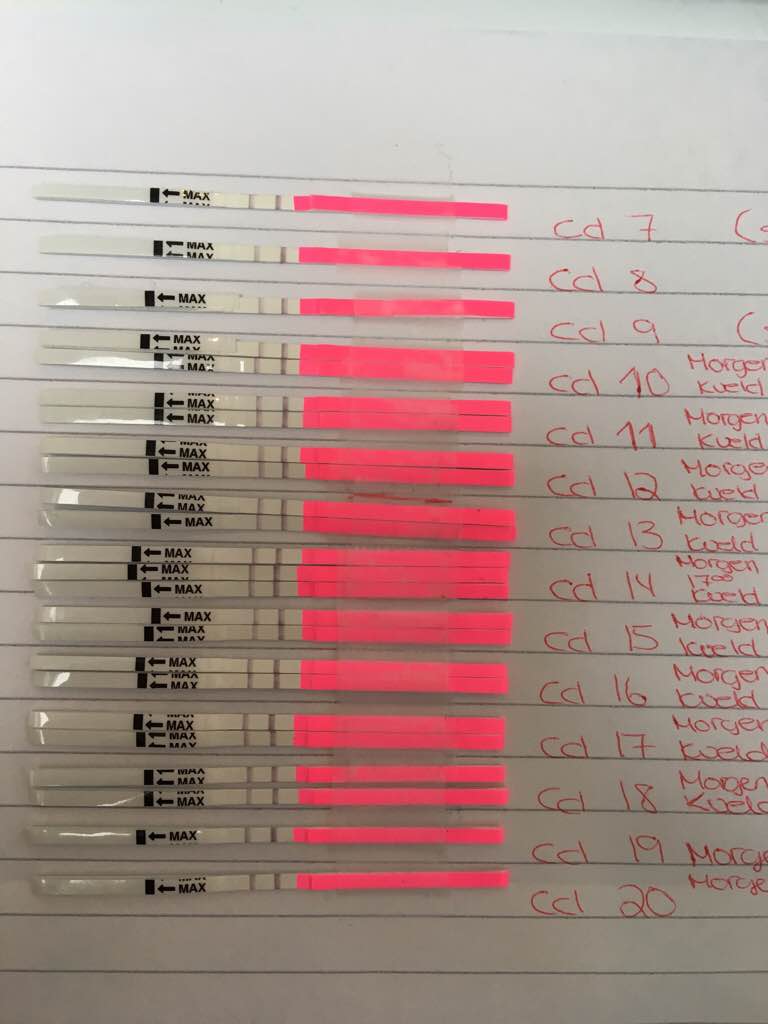 ImageUploadedByBV Forum1474653547.275005.jpg