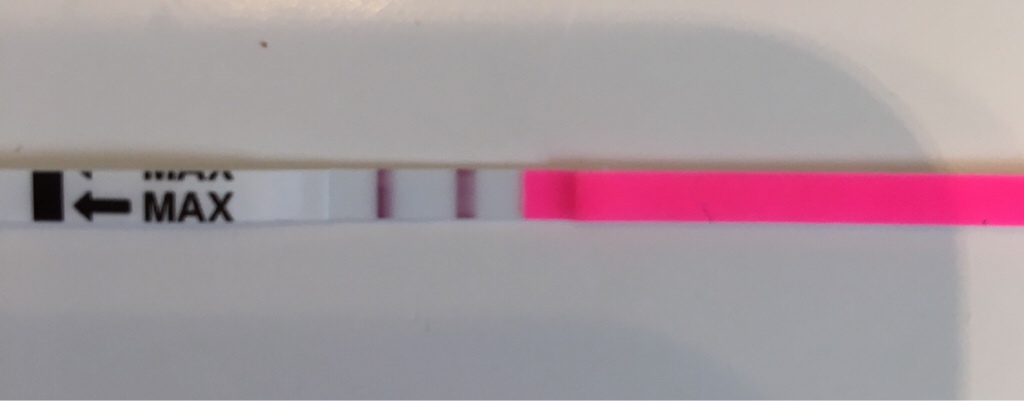 ImageUploadedByBV Forum1474883197.744239.jpg