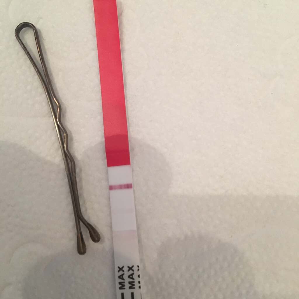 ImageUploadedByBV Forum1475820312.438054.jpg