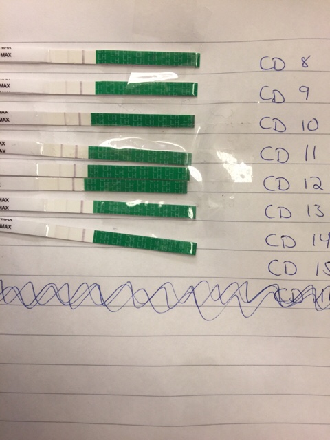 ImageUploadedByBV Forum1475831779.023462.jpg