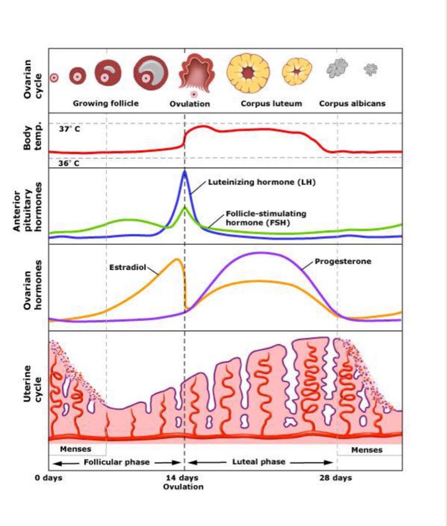 ImageUploadedByBV Forum1475974213.122417.jpg