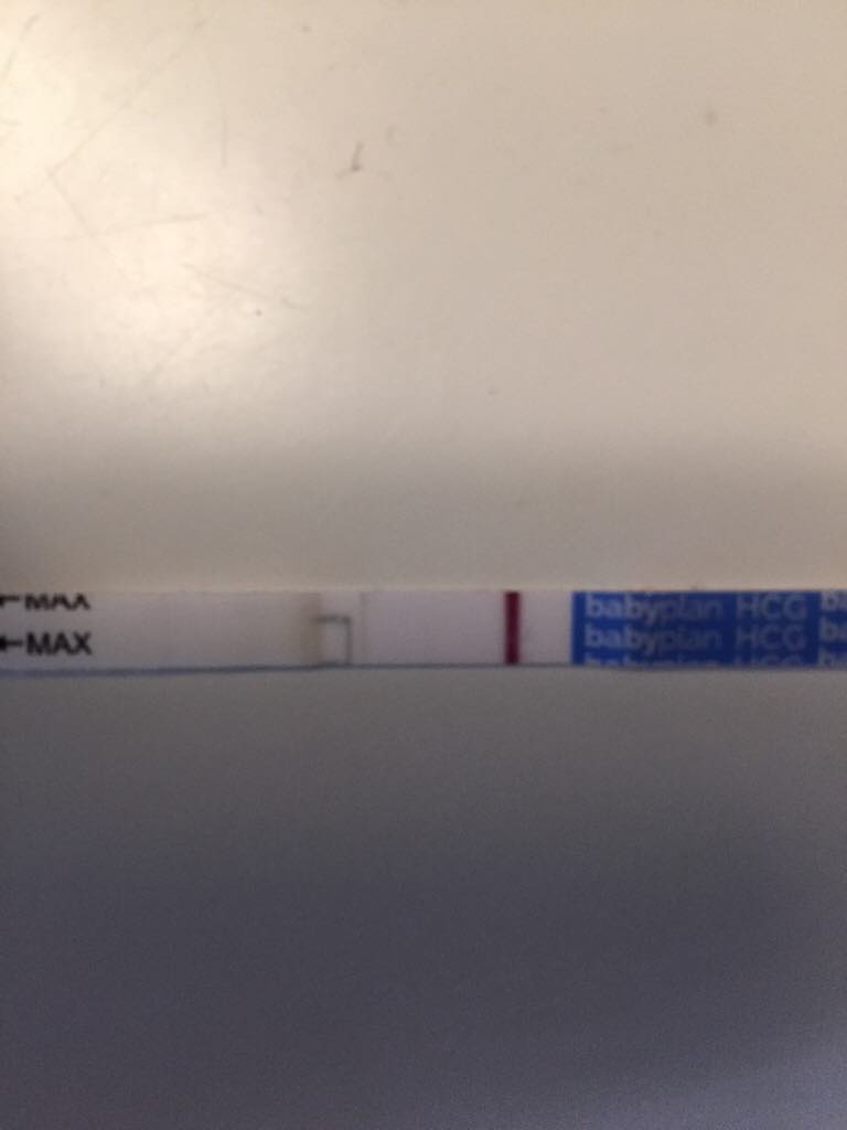 ImageUploadedByBV Forum1476125084.739159.jpg