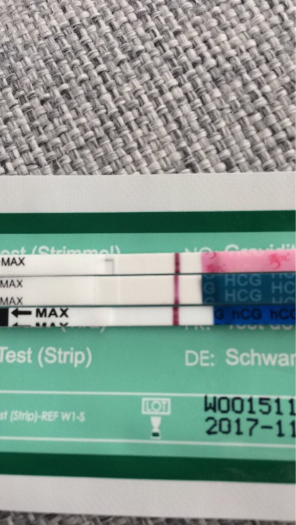 ImageUploadedByBV Forum1476255752.069389.jpg