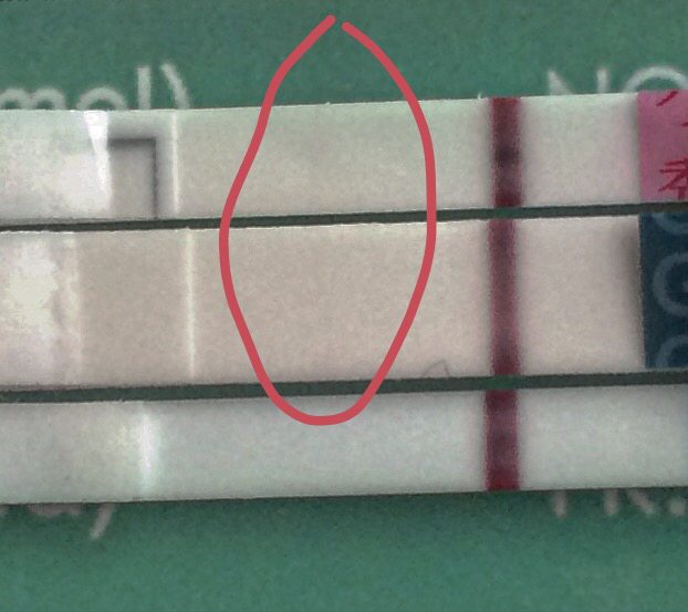 ImageUploadedByBV Forum1476301841.965846.jpg