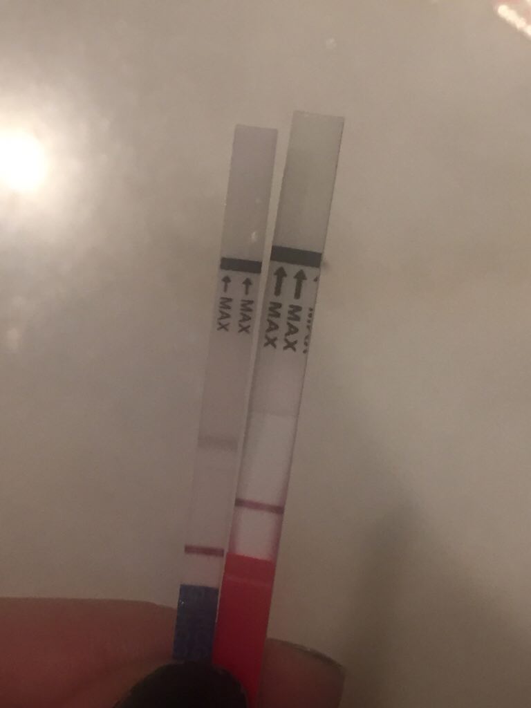 ImageUploadedByBV Forum1476678287.423344.jpg